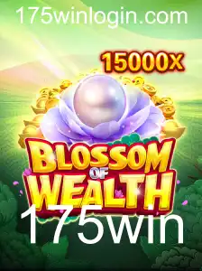 Descubra o Excitante Mundo de BlossomofWealth